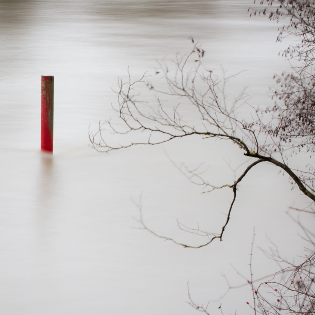 Seine naturelle