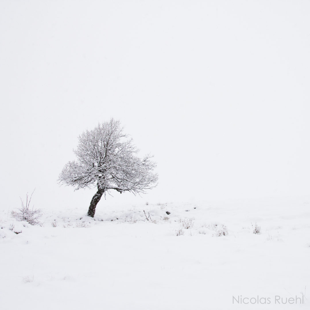 Blanc-sur-blanc